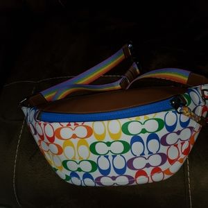 Coach rainbow fannypack set